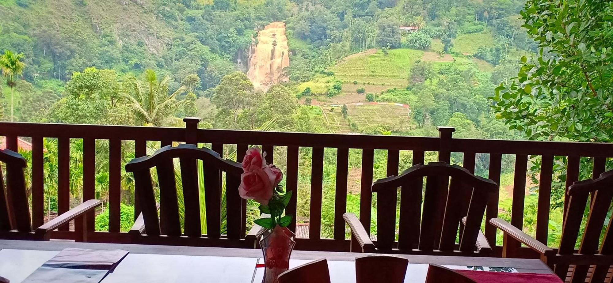 Sen - Rose Ella Daire Oda fotoğraf